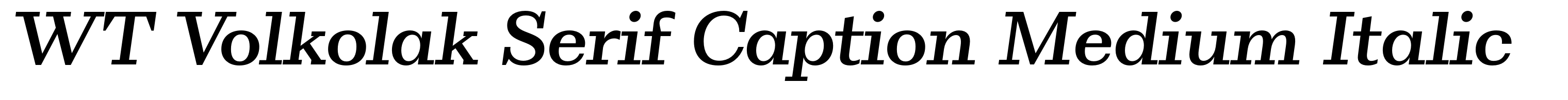 WT Volkolak Serif Caption Medium Italic